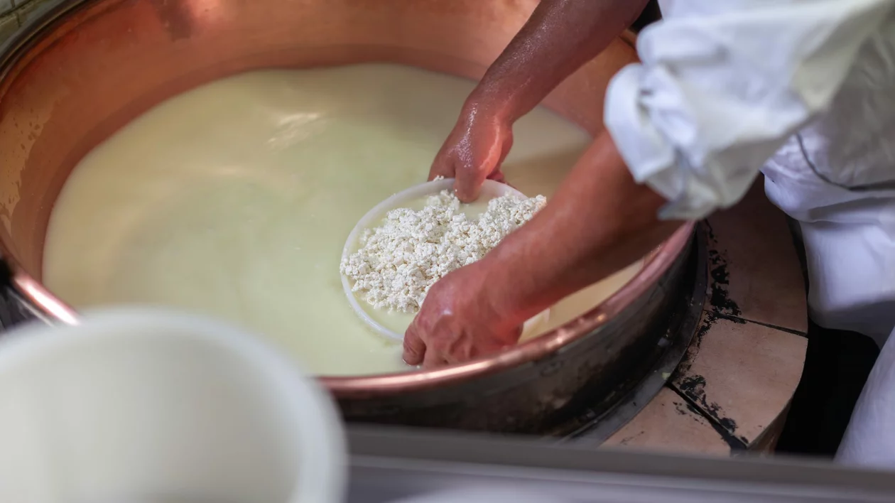A Slovenian cheesemaker shaping soft Mohant cheese in a rustic alpine hut, with lush green meadows in the background.