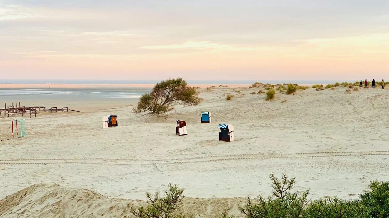 A group of horseback riders crosses the shallow waters of the Wadden Sea, silhouetted against a colorful sunset sky.