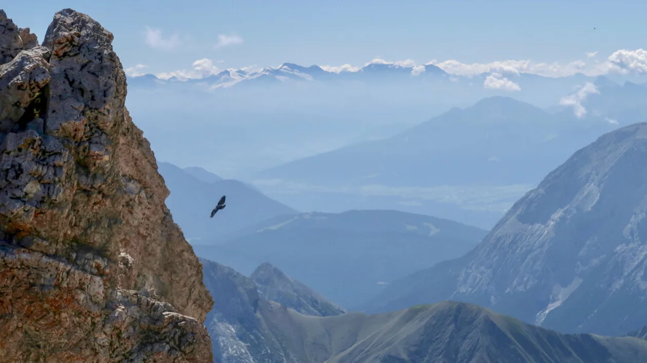 A majestic eagle soars near a rocky mountain peak, with expansive alpine valleys and snow-capped mountains in the background.