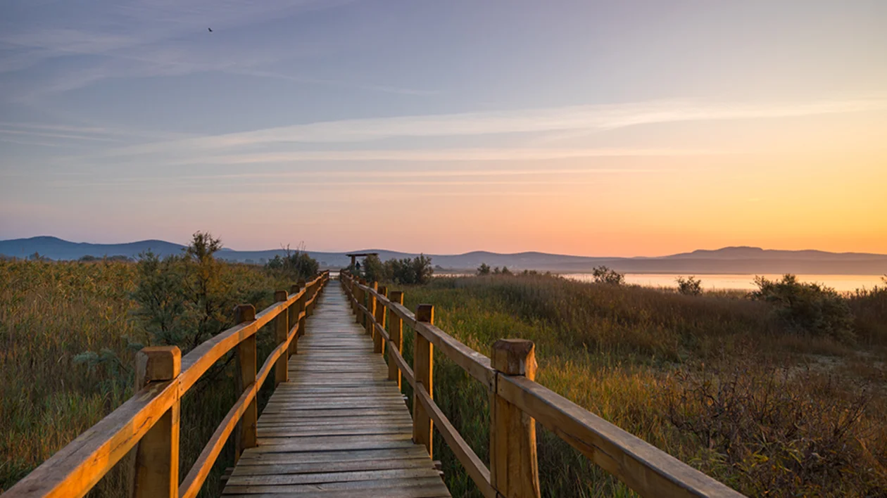 Wooden boardwalk leading through reeds at sunset near Vransko Lake.