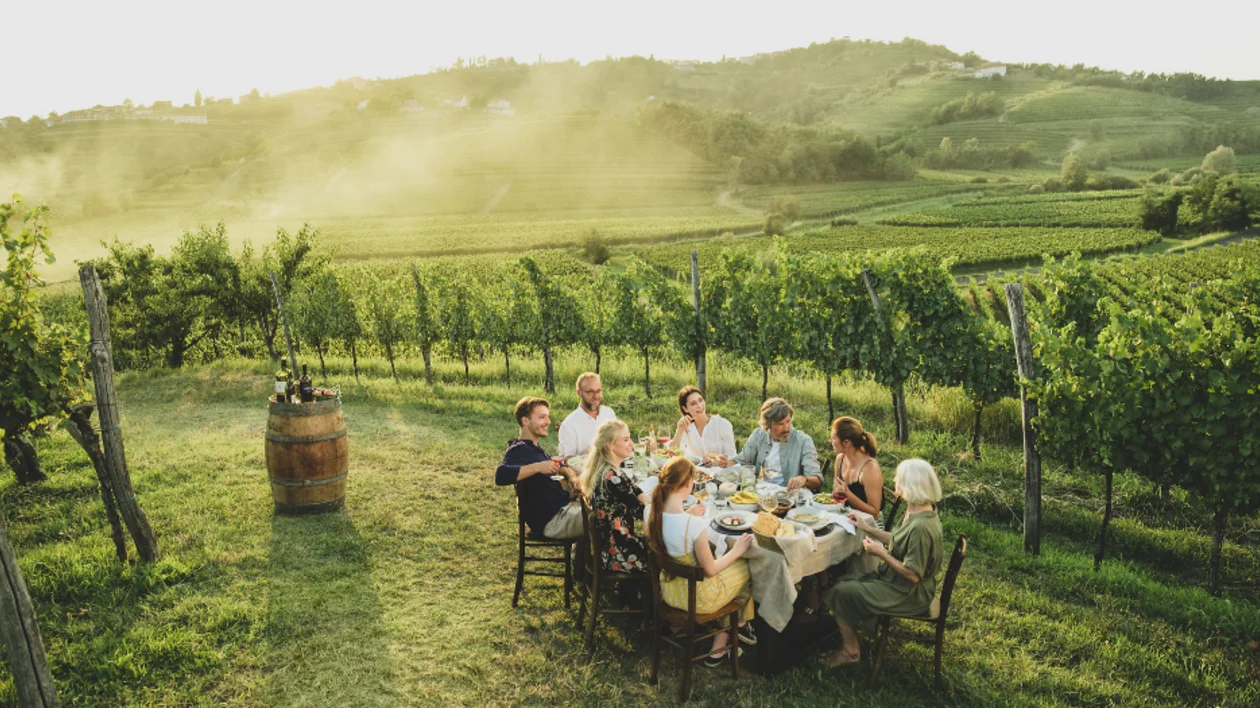 Group of friends enjoying an outdoor dinner with wine in a vineyard in Slovenia.