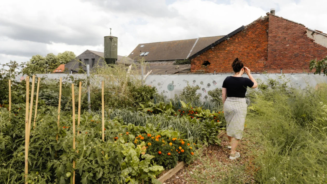 A woman walking through a lush vegetable garden filled with tomato plants, leafy greens, and marigolds, with rustic farm buildings in the background.