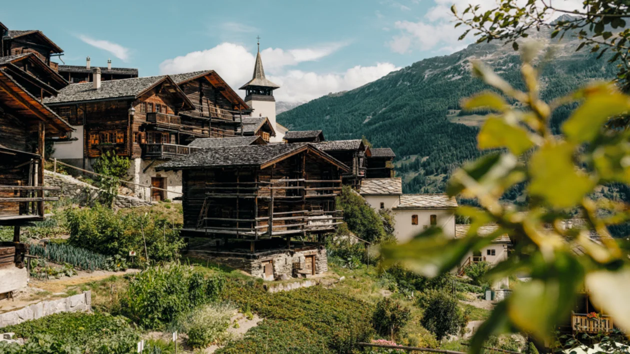 View of the traditional wooden houses in Grimentz, a Val d’Anniviers village, surrounded by green mountains and sunny day.