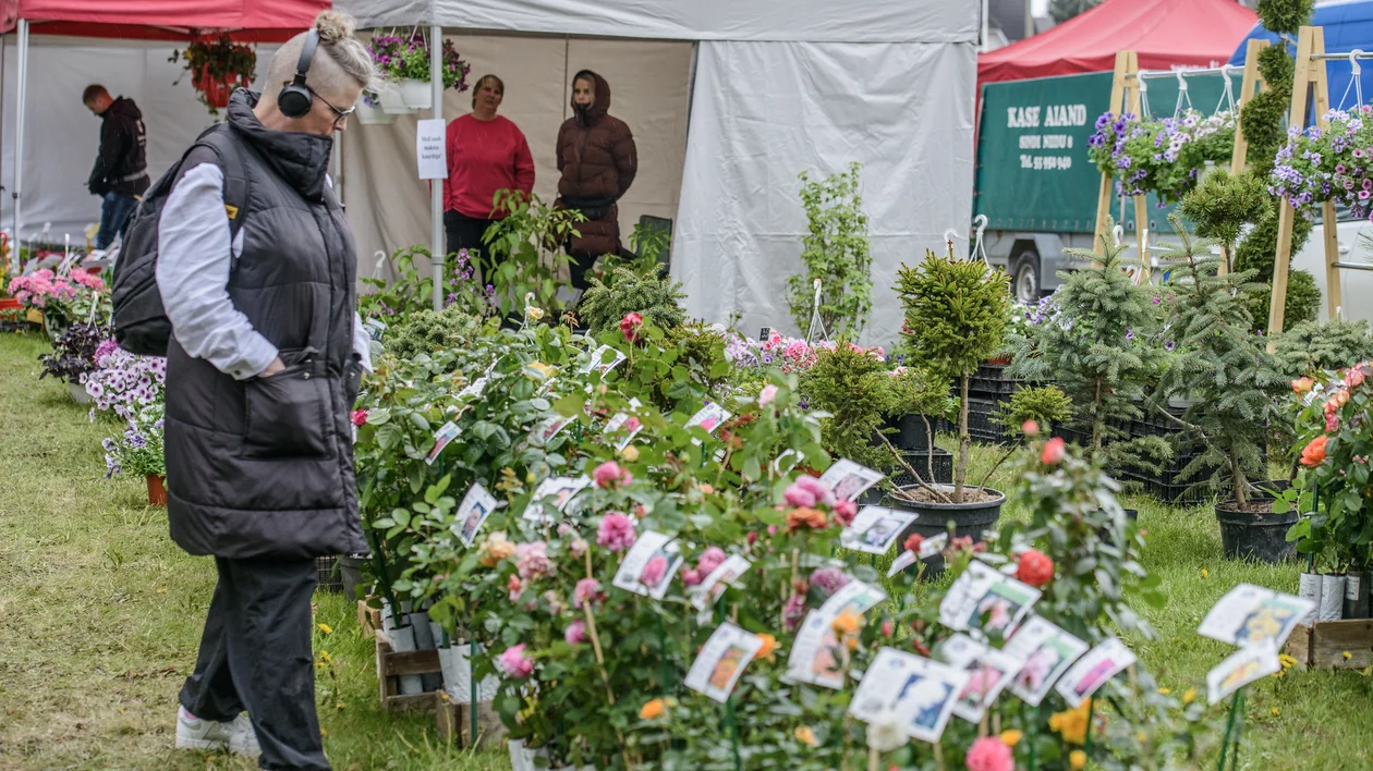 Woman with headphones browsing flowers at an outdoor market with colorful tents.