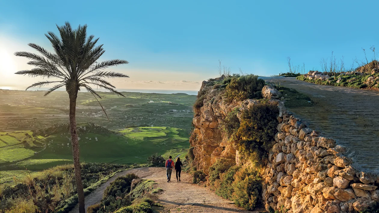 Two people walk on a dirt path by a stone wall, with a palm tree and green valley below.