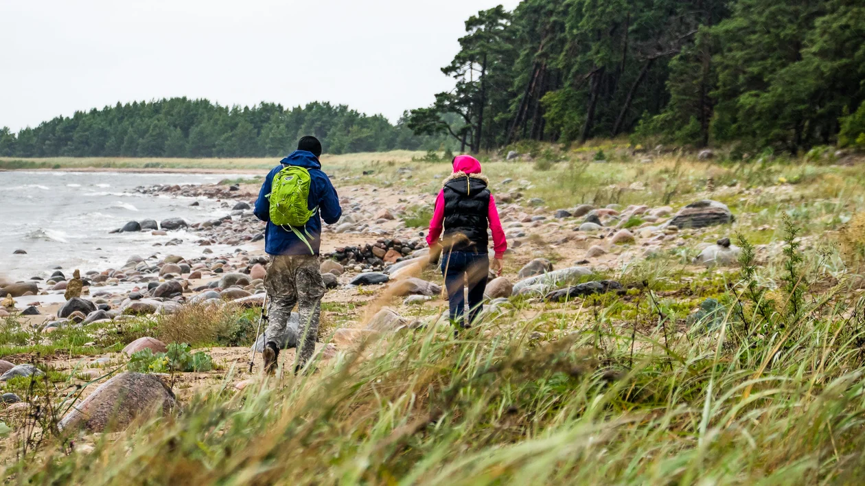 Two hikers with backpacks walking along a rocky beach near a forest.