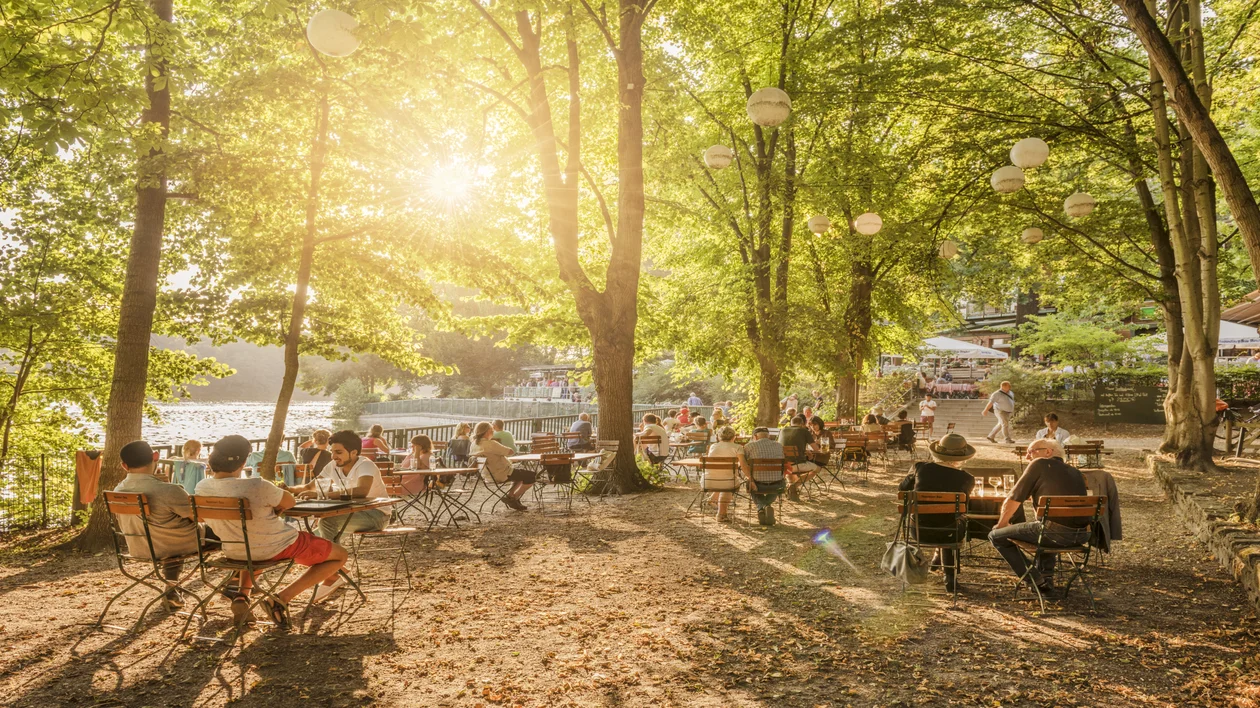 People sitting at outdoor tables under leafy trees with sunlight streaming through.