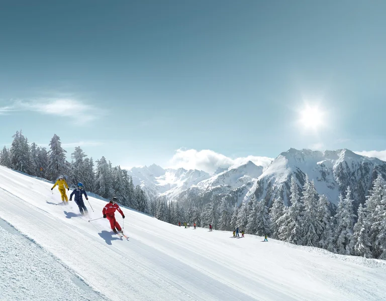 Ski Wiedereinsteiger