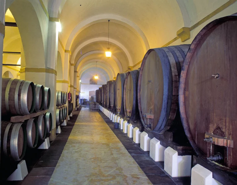 Swirl, Smell and Savor: a unique wine tasting trail