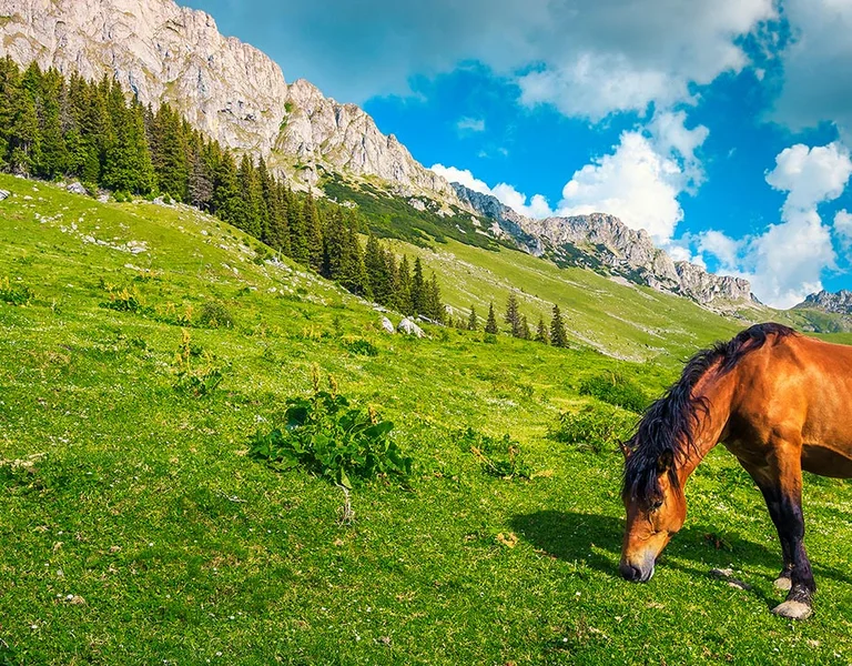 ETC_SM-Apr2021_Visual03_1440x724_v1.0