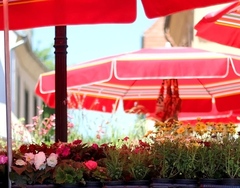 Doloc market in Zagreb, Croatia