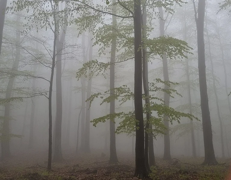 ETC_SM-082021_web article image_Croatia_1200x630_v1.0