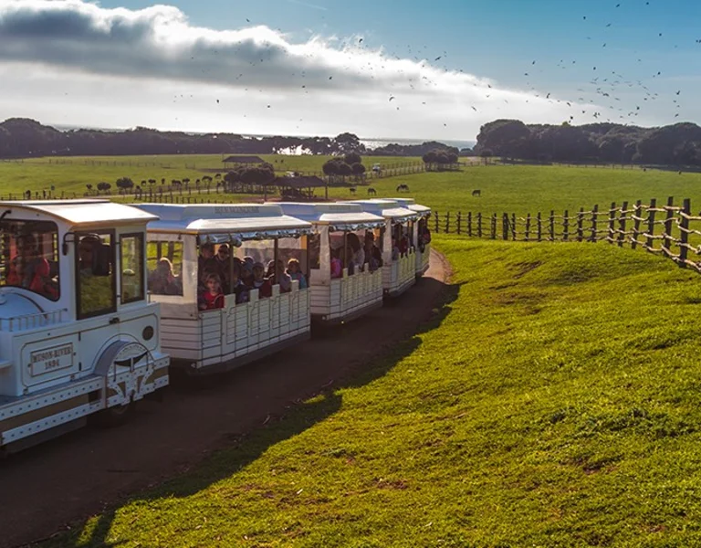 Cover_HTZ_2022_ETC_Visit-Europe_Brijuni_cover-img_1440x525 (1)