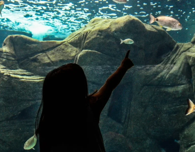 Cover_cretaquarium_1440_525