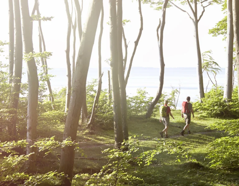 Cover Picture - Jasmund National Park on Rügen