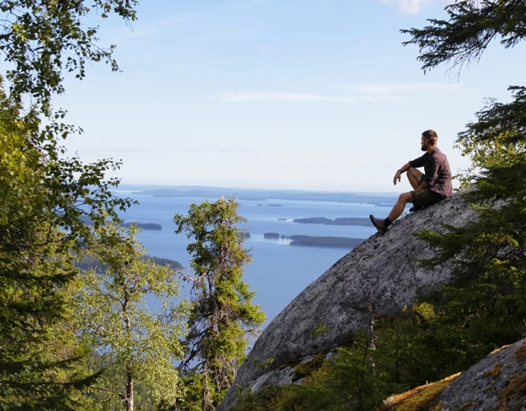 Finland_Tarvainen_Koli_4E5A6224