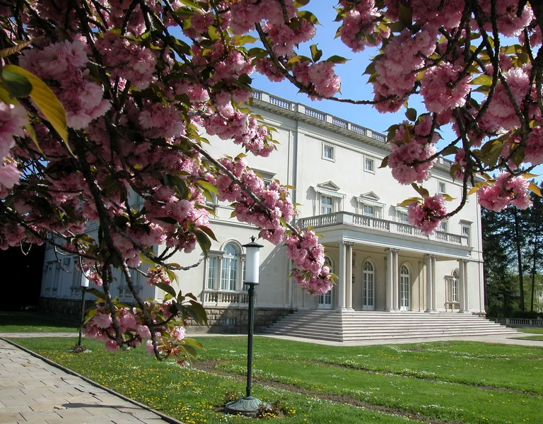 COVER The White Palace