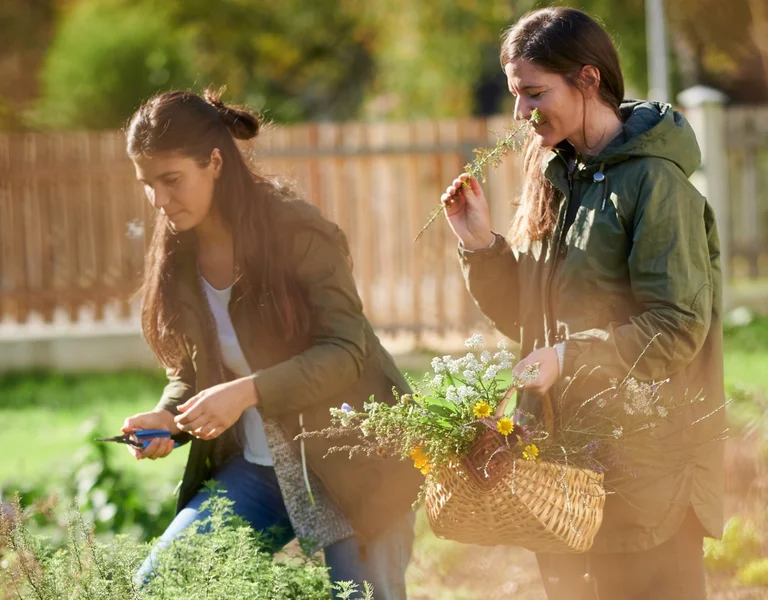 Herbal Experience, Slovenia.