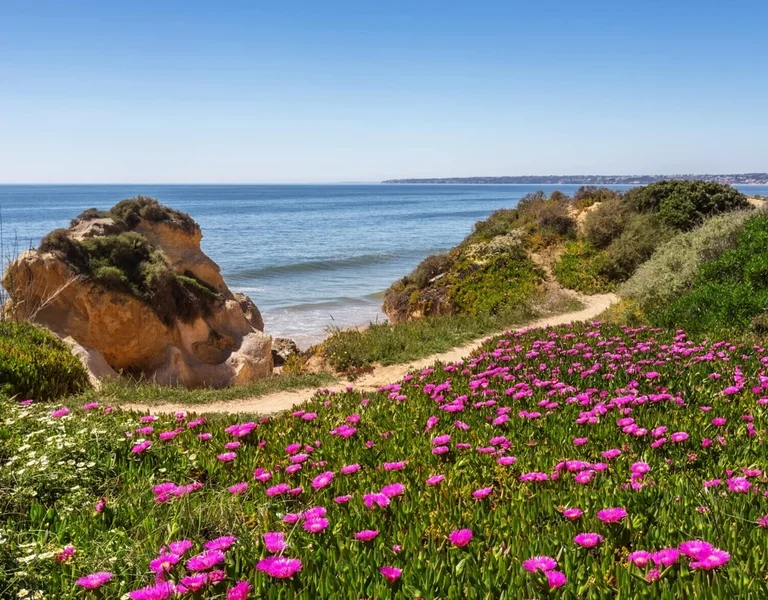 Spring in Albufeira, Portugal