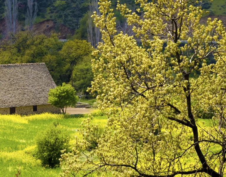 ©Cyprus Deputy Ministry of Tourism