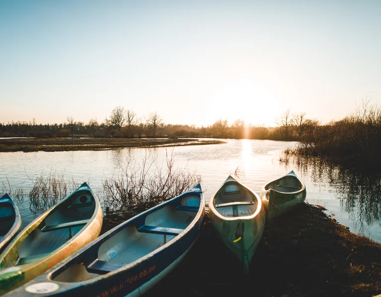 Viljandi, Estonia: A charming lakeside town with a rich historical and cultural heritage. Explore medieval ruins, enjoy serene lake views, and embrace the vibrant arts scene in this picturesque Estonian gem,