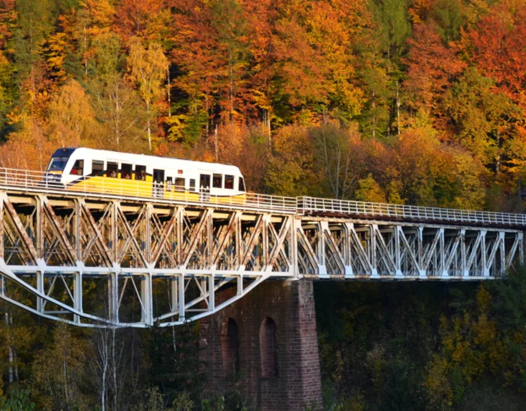 A modern train on an elevated track with a forest in autumn in the background.
