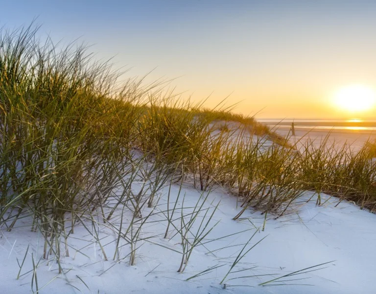 Sunset on a beach with white dunes.