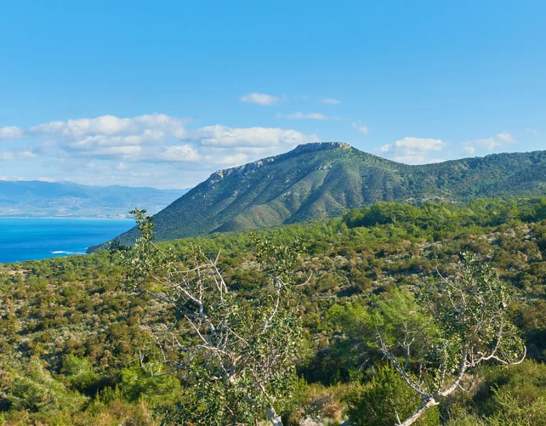 Sunny landscape with hills and blue sea on the stunning island of Cyprus.