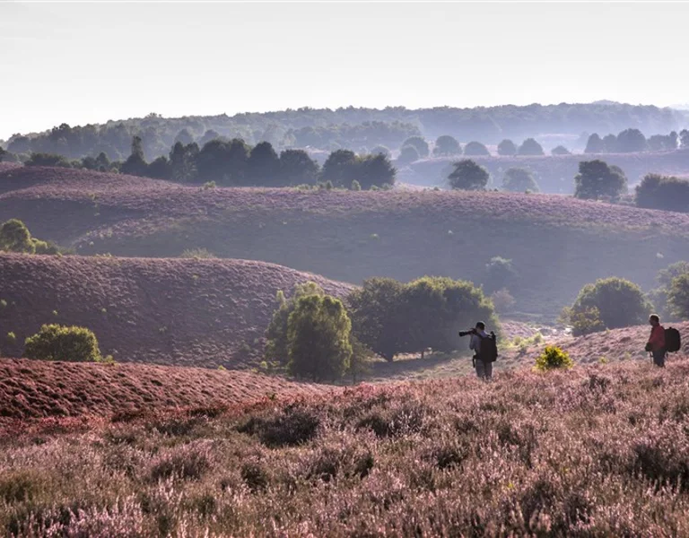 Photographer in a natural landscape in the Netherlands.