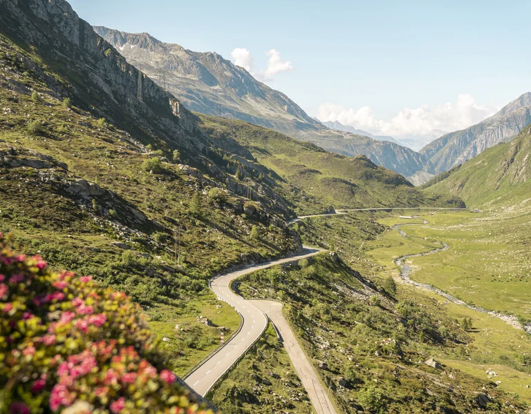 Wild road in the middle of swiss mountains and the greenery scenario around with flowers.