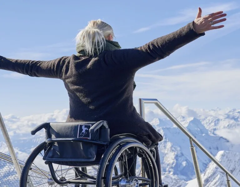 Person in a wheelchair with arms outstretched facing snowy mountains.