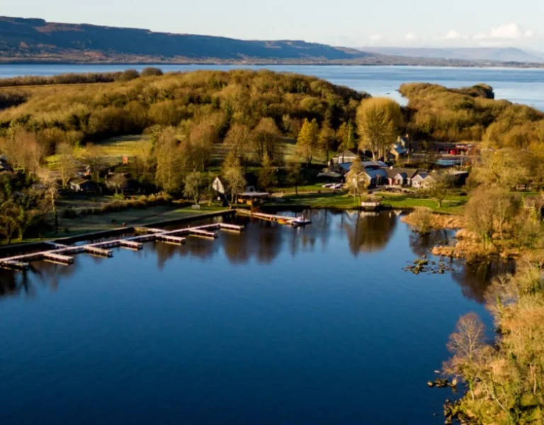 Aerial view of a lakeside village with docks and green trees.
