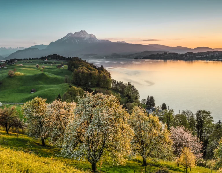 Sunset over a tranquil lake with blossoming trees and a mountain backdrop.
