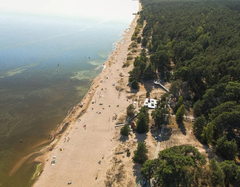 Aerial view of a sandy beach along the Baltic Sea, bordered by a dense pine forest in Estonia.