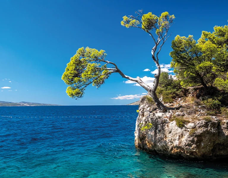 Famous Brela rock with pine trees growing atop, set in the Adriatic Sea.