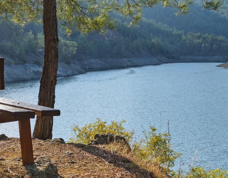 A wooden bench under pine trees overlooking a calm reservoir surrounded by forested hills in Cyprus.