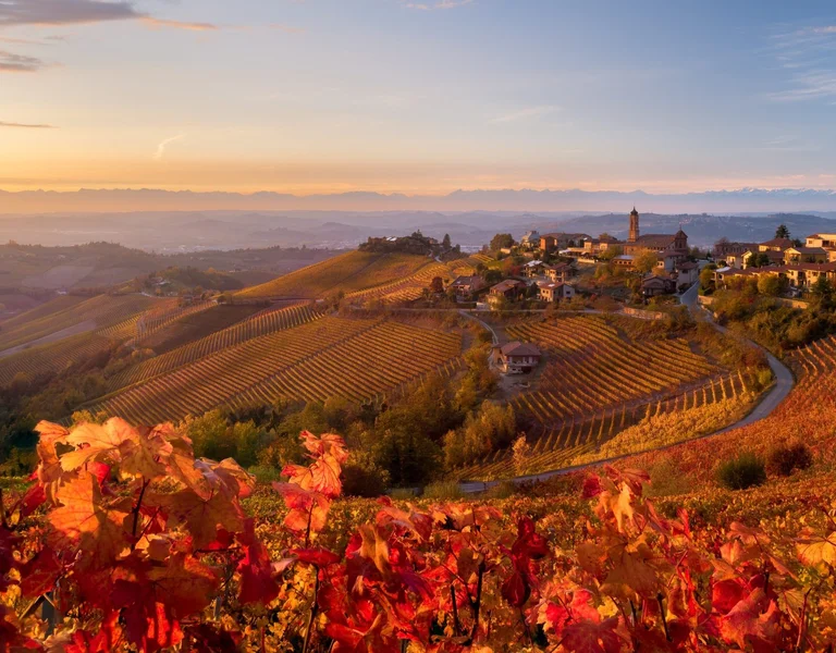 An autumnal landscape in Treiso italy.