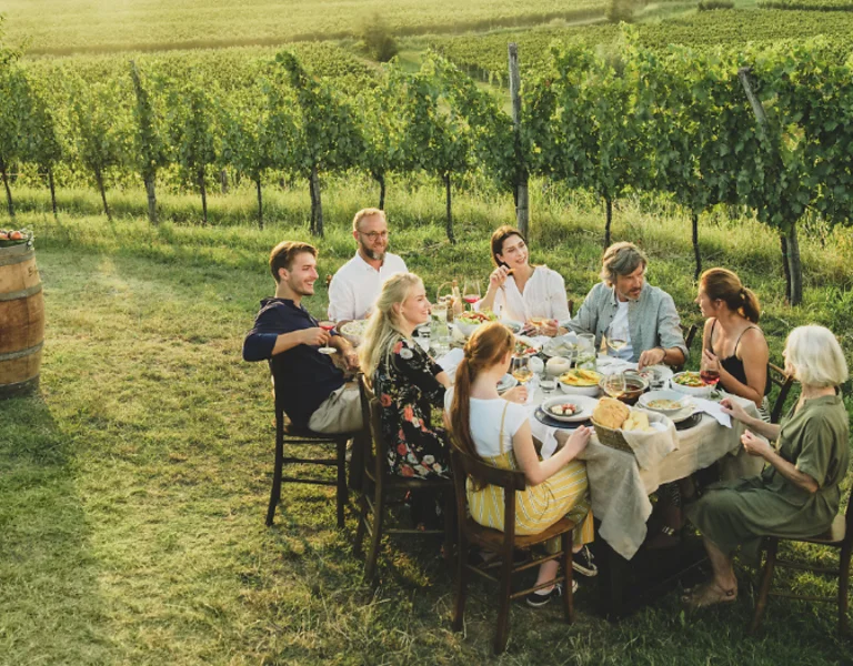 Seven people sharing food and laughter at a long table set among Slovenian vineyards.