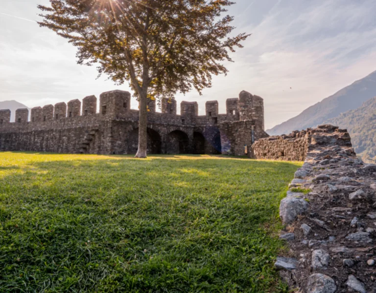 Scenic view of an ancient stone castle wall with a tree and sunlight filtering through its branches, surrounded by mountains and green grass in a peaceful valley.