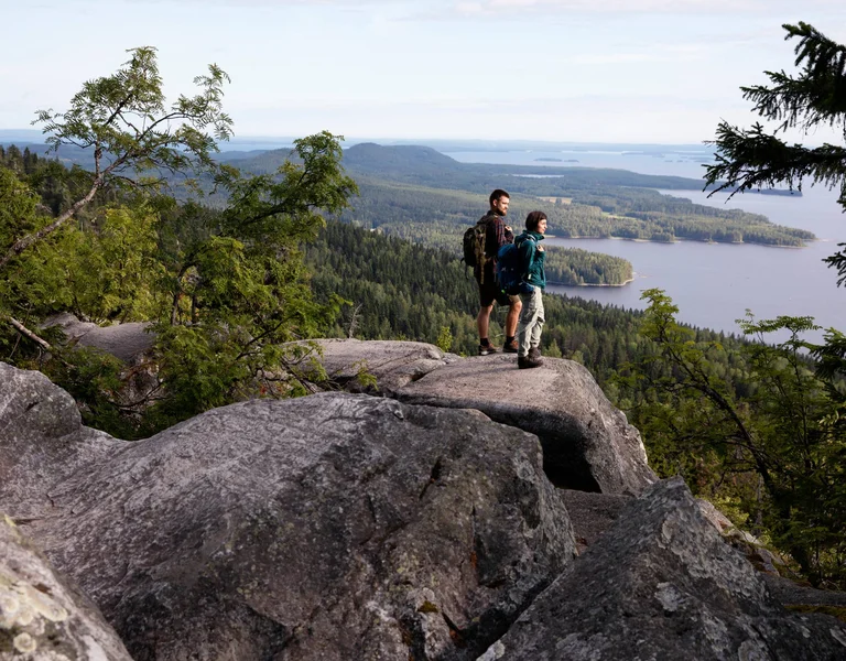 Panoramic view from the summit of Koli in Finland: rocky hills, dense forest, and Lake Pielinen stretching into the distance under a clear sky.