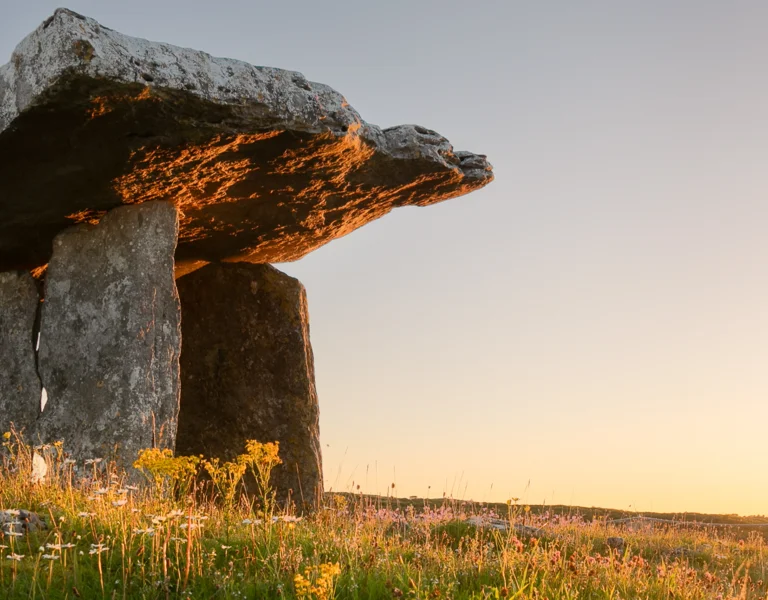 Stone dolmen surrounded by wildflowers at sunset.