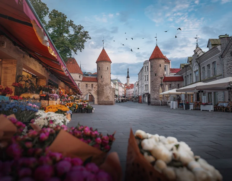 Street market with colorful flowers, medieval towers, and birds flying in the blue sky.
