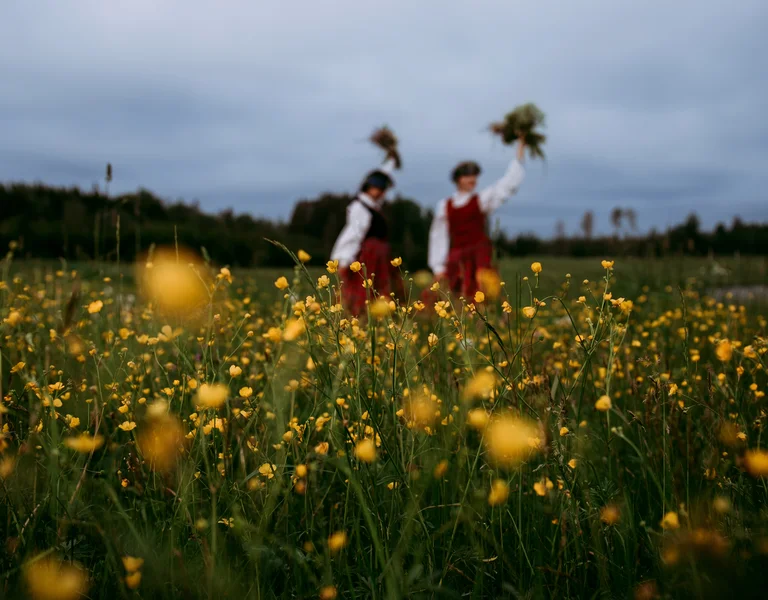 Two children in red overalls playing in a field of yellow wildflowers under a cloudy sky.