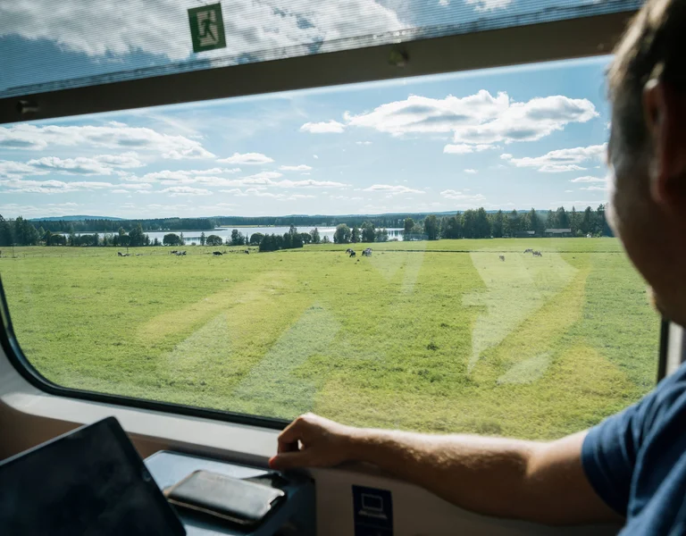 Man looking out train window at a green field with cows and distant lake under blue sky.
