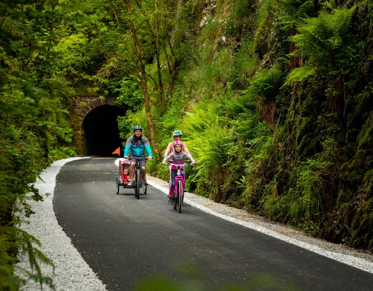 Two cyclists ride on a lush, forested path toward a tunnel.