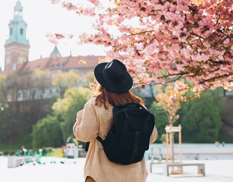 Person with backpack under pink cherry blossoms, looking toward a historic building.