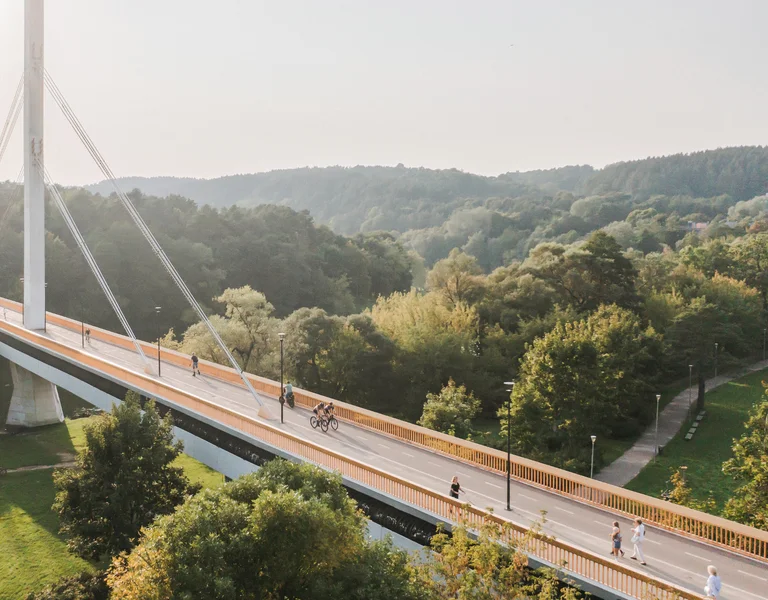 Pedestrian bridge with people crossing over a lush, green forested valley.
