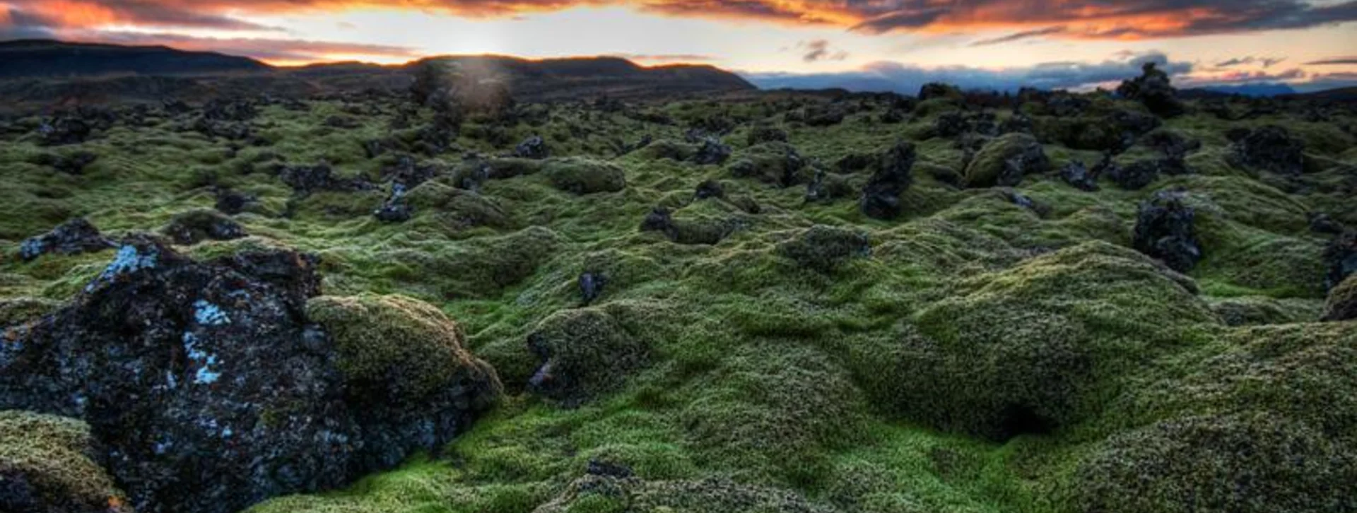 Elðraun Moss Fields, Iceland