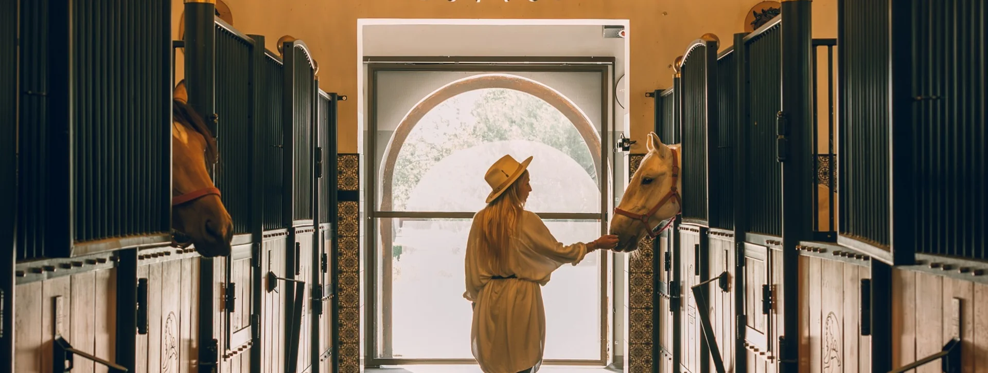 Person standing in a horse stable hallway under two large chandeliers, petting a horse.