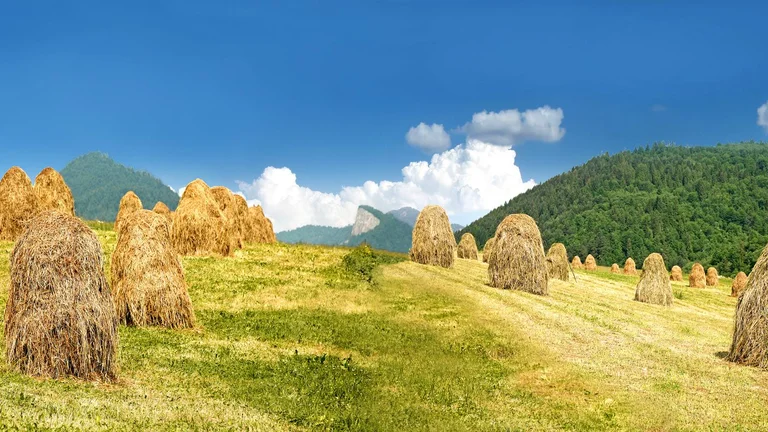 Dunajec Pieniny range, Slovakia